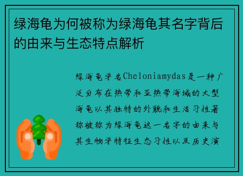 绿海龟为何被称为绿海龟其名字背后的由来与生态特点解析